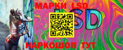 индика Кандалакша
