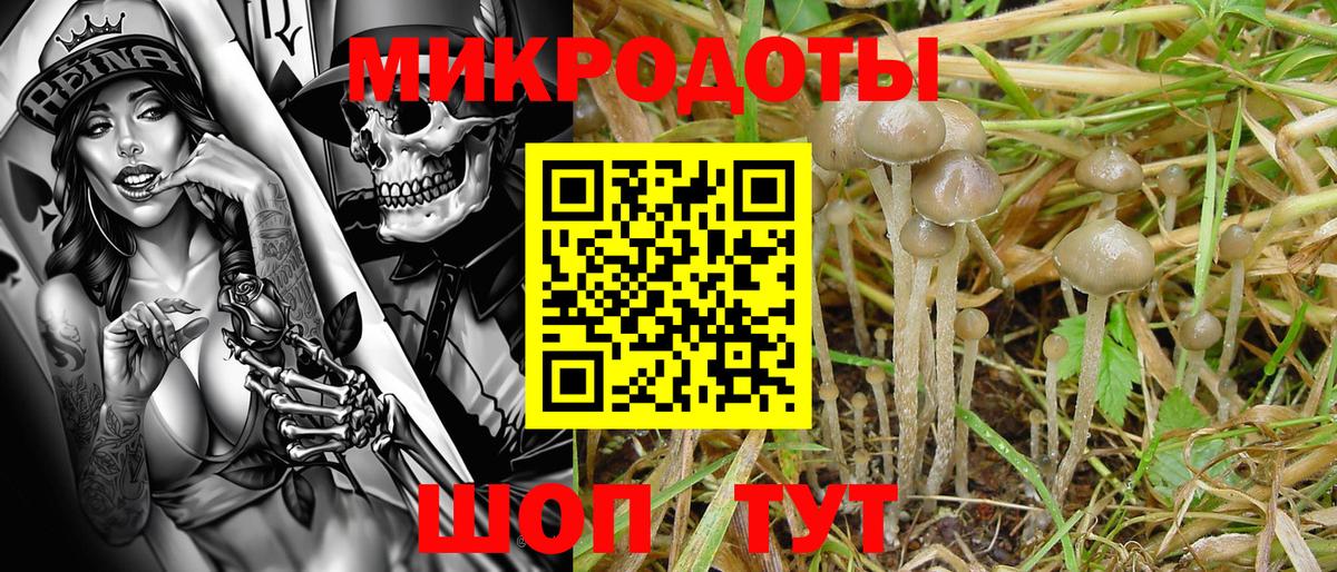 Псилоцибиновые грибы прущие грибы  Псилоцибиновые грибы Psilocybe  Вход с VPN  Краснодар 